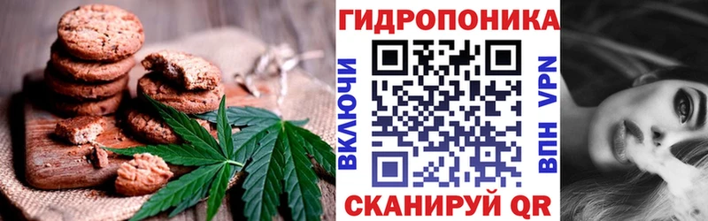 OMG сайт  купить наркоту  Котельники  Cannafood конопля 