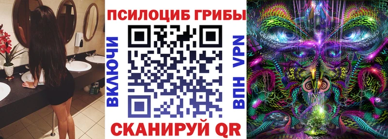 omg маркетплейс  Котельники  Псилоцибиновые грибы мухоморы  цены  